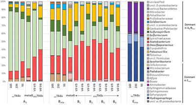 Metagenomic analyses of a microbial assemblage in a subglacial lake beneath the Vatnajökull ice cap, Iceland